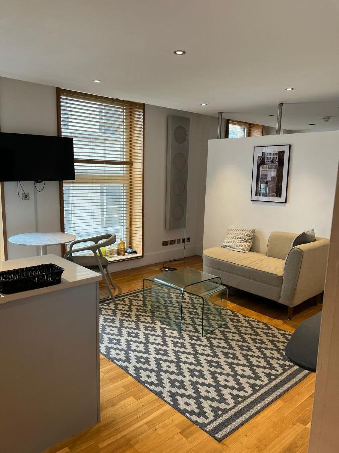 Piccadilly Circus Luxury Studio Apartament Londra